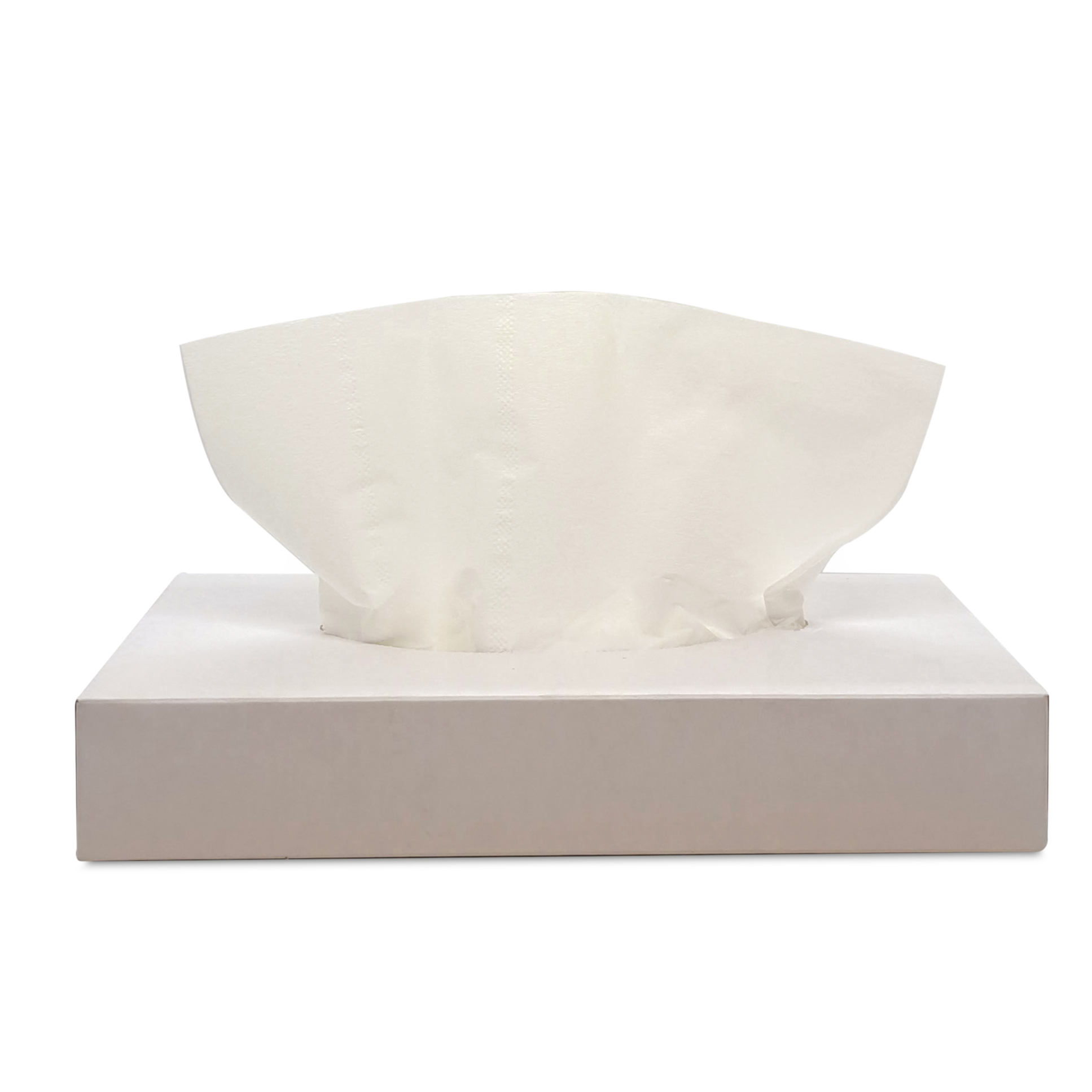 Facial Tissue 40 Sheets - 1
