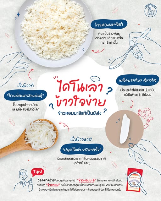 ข้าวหอมมะลิแท้ 100 % ตราไดโนเสาร์ - 4